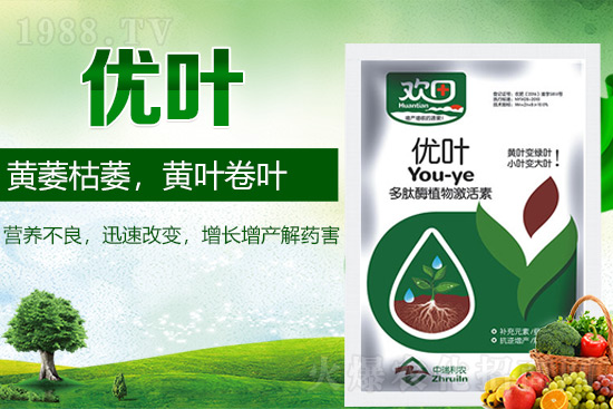 葉面肥的種類及使用注意事項(xiàng)