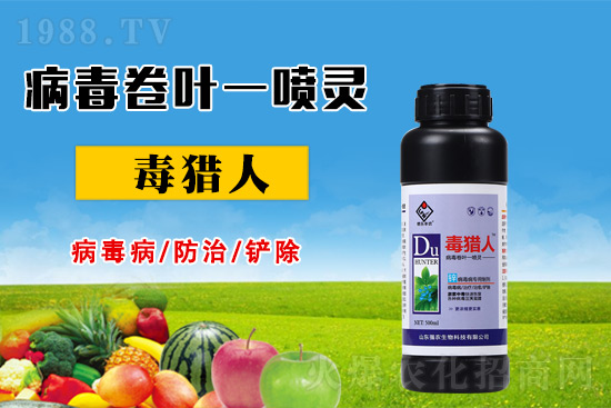 病毒病危害時(shí)期，怎么做好防治？