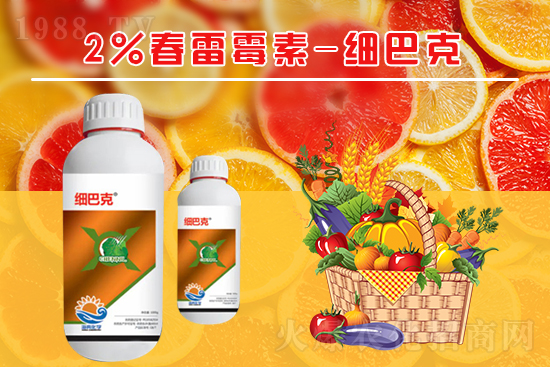 番茄潰瘍病怎么辦？聽聽專家怎么說！