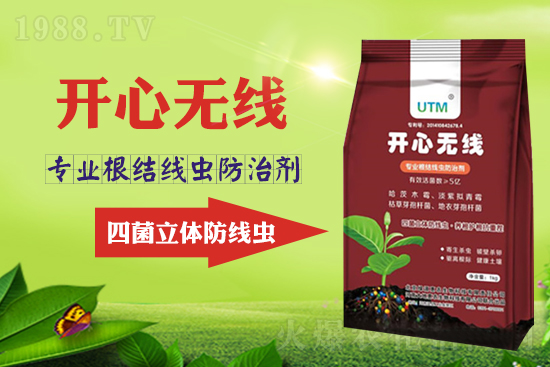 根結(jié)線蟲危害大？線蟲防治意見匯總！