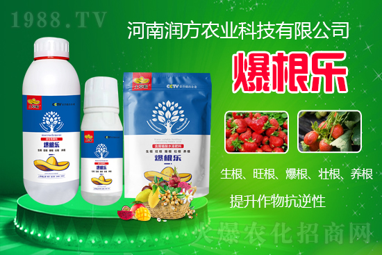     河南潤(rùn)方農(nóng)業(yè)科技有限公司【微生物菌劑-爆根樂(lè)-土草帽】可幫助植物建立強(qiáng)壯強(qiáng)大的根系，促進(jìn)植物對(duì)土壤養(yǎng)分、水分與氣體的吸收利用。生根、旺根、爆根、壯根、養(yǎng)根，增強(qiáng)抗逆性。