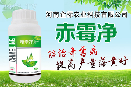 緊急提醒：未來十天是小麥赤霉病防治關(guān)鍵期！務(wù)必抓??！