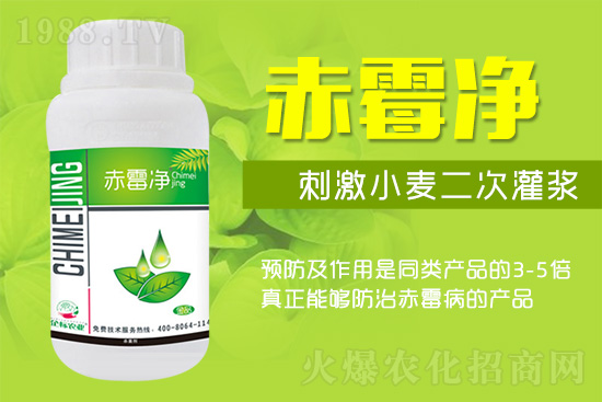 緊急提醒：未來十天是小麥赤霉病防治關(guān)鍵期！務(wù)必抓??！