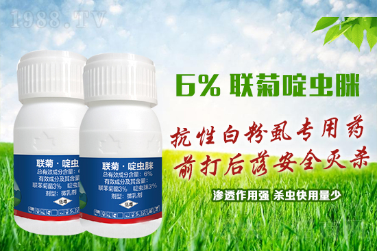 抗性白粉虱難防又難治？這樣用藥蟲(chóng)卵雙殺，死蟲(chóng)！