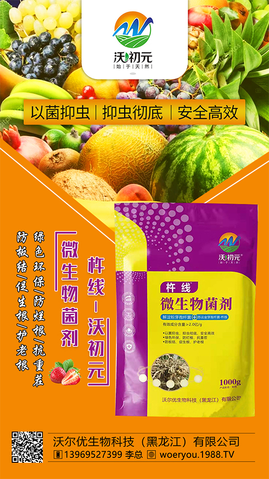 作物的根系，決定作物的產(chǎn)量