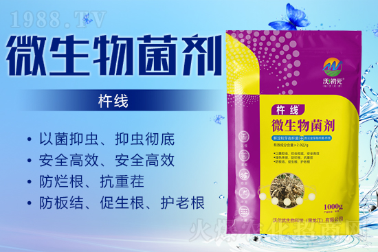 作物的根系，決定作物的產(chǎn)量