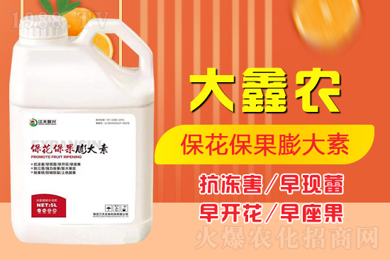 夏季保果膨大少不了，如何保果膨大？