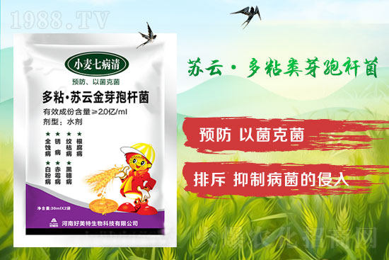 四月小麥赤霉病多發(fā)，不要錯(cuò)過(guò)防治時(shí)間！