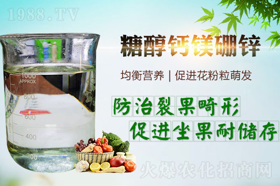     葡萄開花坐果期有多重要？開花坐果期的特點及管理！