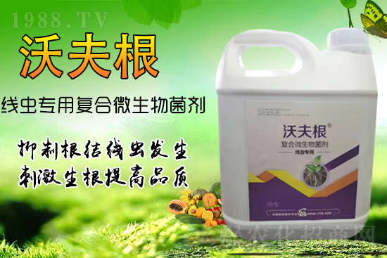 根結(jié)線蟲侵染作物根部？教你幾招，不反彈效果更!