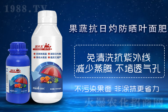 高溫來襲！日灼蓄勢(shì)待發(fā)，作物如何正確養(yǎng)護(hù)呢？