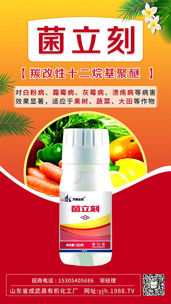 葡萄霜霉病還是白粉病？別再傻傻分不清了！如何分辨及防治？