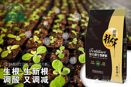 西瓜裂瓜怎么預(yù)防？了解這些西瓜滾滾品質(zhì)高！