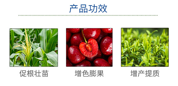 �ﲩʿ���F(tu��n)���޹�˾��873702��_03