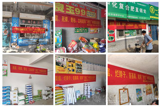 “植物癌癥-病毒病”被攻克了！純中草藥“殺菌霸主”