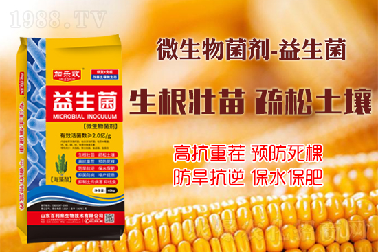 作物如何生根壯根、長勢更茂盛？學(xué)會這些事半功倍！