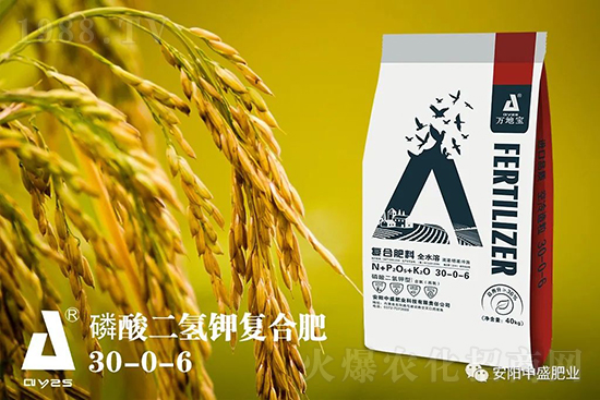 水稻分蘗不好對產量有多大影響？促進水稻分蘗怎么做？