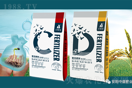 水稻分蘗不好對產量有多大影響？促進水稻分蘗怎么做？