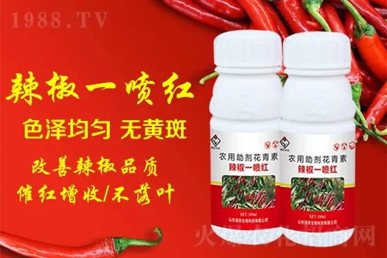 辣椒催紅增收專利產(chǎn)品！自然增紅零激素，色澤勻無黃斑