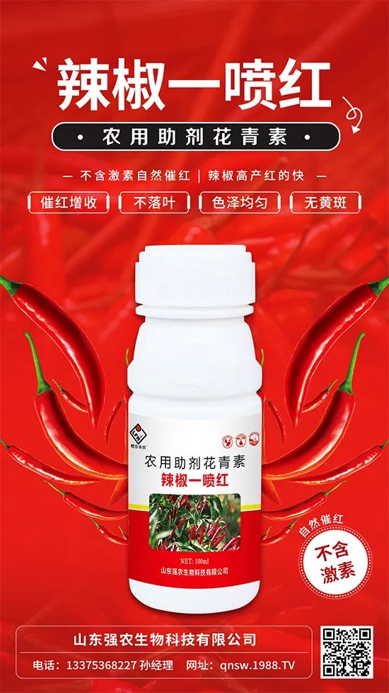 辣椒催紅增收專利產(chǎn)品！自然增紅零激素，色澤勻無黃斑