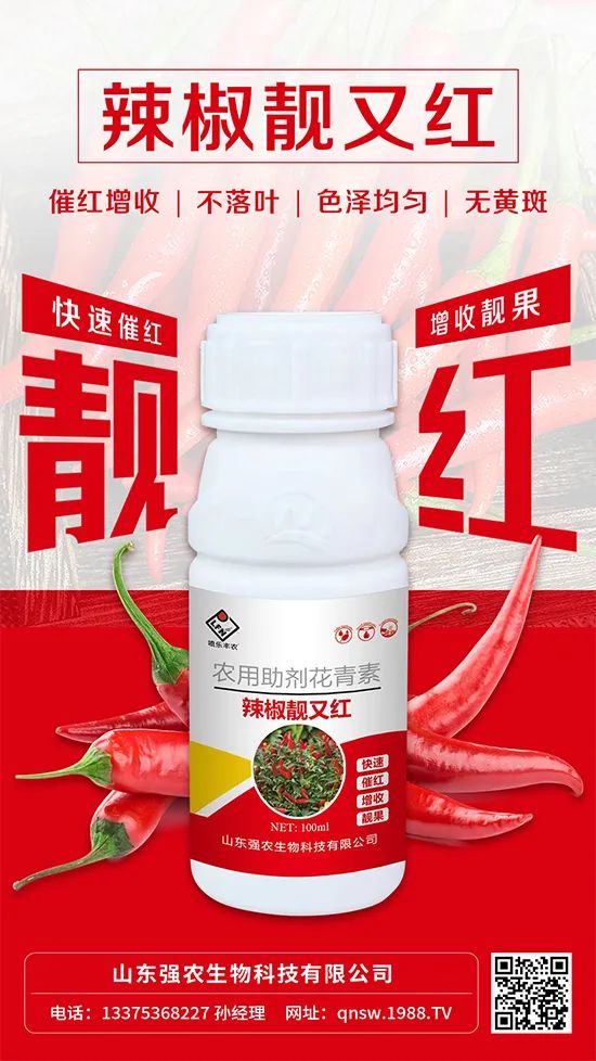 辣椒催紅增收專利產(chǎn)品！自然增紅零激素，色澤勻無黃斑