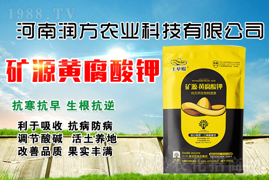礦源黃腐酸鉀為什么牛？怎么用才能效果翻倍？
