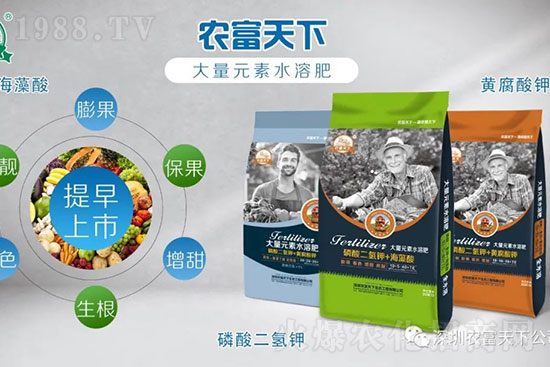 水溶肥就是用水沖沖？大錯(cuò)特錯(cuò)，正確做法該是這樣的！