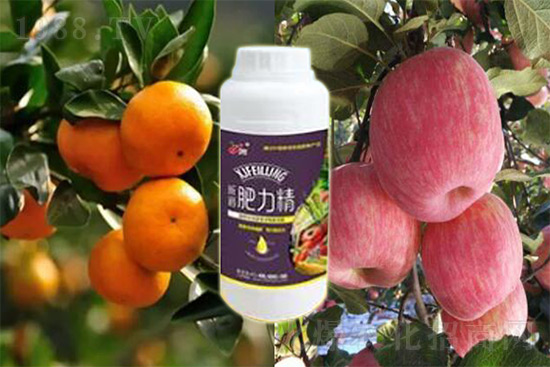 玉米追肥復(fù)合肥好還是尿素好？很多人都錯了！它才是正確選擇