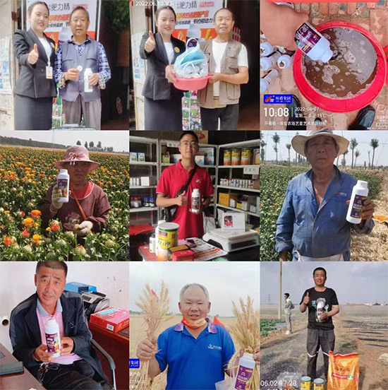 玉米追肥復(fù)合肥好還是尿素好？很多人都錯了！它才是正確選擇