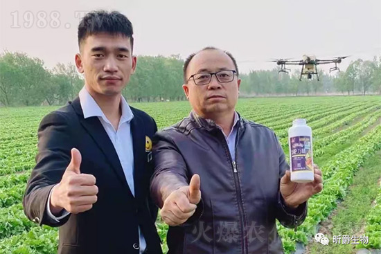 玉米追肥復(fù)合肥好還是尿素好？很多人都錯了！它才是正確選擇