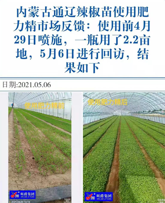 玉米追肥復(fù)合肥好還是尿素好？很多人都錯了！它才是正確選擇