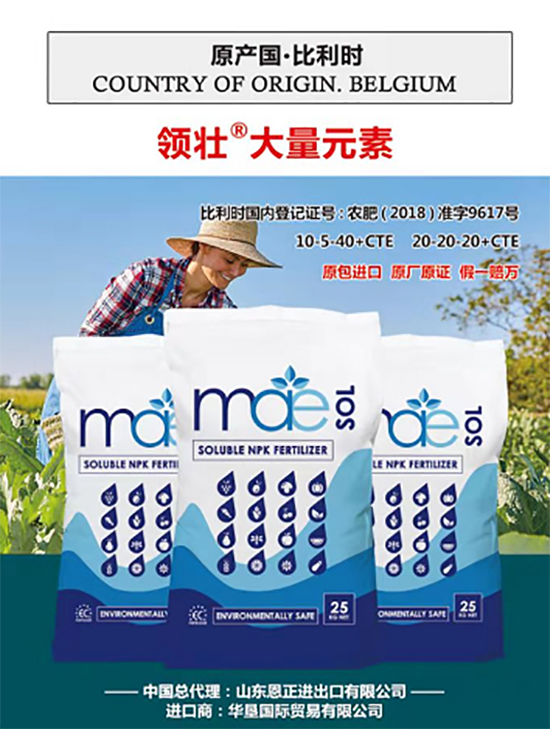 交500頂2000，高端進(jìn)口肥“性價(jià)比霸主”