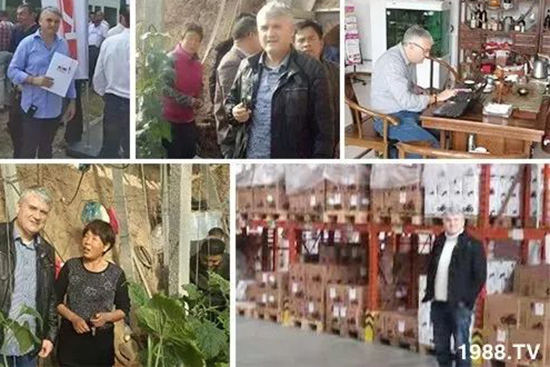 交500頂2000，高端進(jìn)口肥“性價(jià)比霸主”