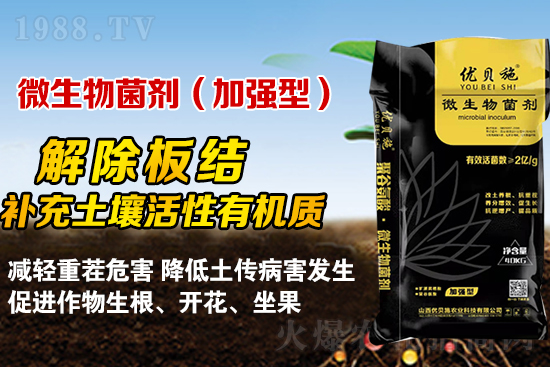 礦源黃腐酸鉀你了解多少？礦源黃腐酸鉀遇見微生物菌劑有啥奇妙反應(yīng)？