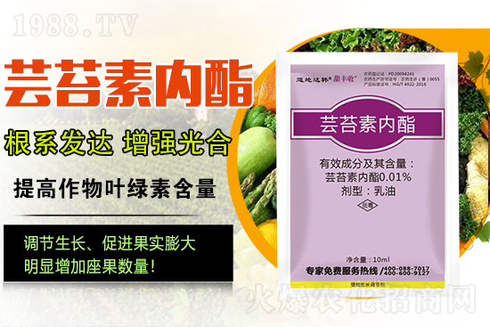 蕓苔素內(nèi)酯為啥被稱(chēng)為植物救命藥？蕓苔素內(nèi)酯怎么選？