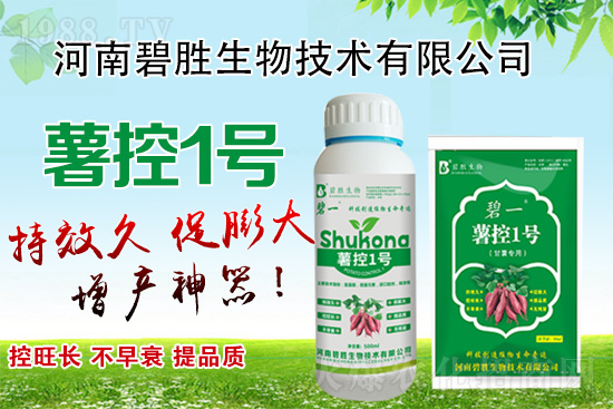 紅薯如何控旺？紅薯控旺有哪些措施？控旺產(chǎn)品怎么選？