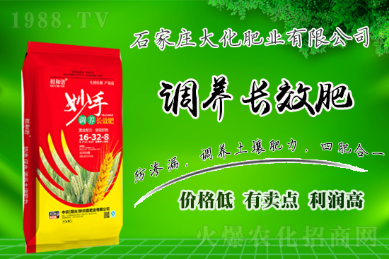 戰(zhàn)略合作再升級(jí)，石家莊大化肥業(yè)再次簽約1988.TV！