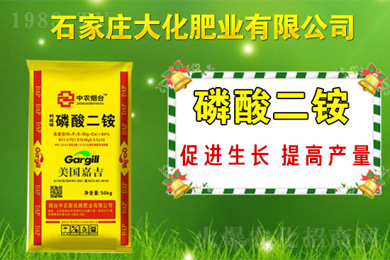 戰(zhàn)略合作再升級(jí)，石家莊大化肥業(yè)再次簽約1988.TV！