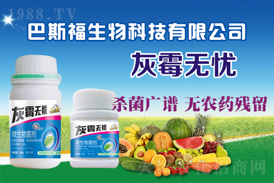 葡萄灰霉病危害嚴(yán)重！葡萄灰霉病如何防治？