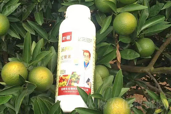 紅果素—只為轉(zhuǎn)色而生！轉(zhuǎn)色快、高，催紅不用愁！