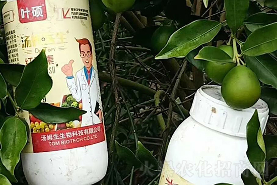 紅果素—只為轉(zhuǎn)色而生！轉(zhuǎn)色快、高，催紅不用愁！