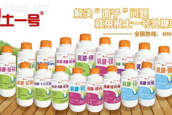 7月份獼猴桃進(jìn)入二次膨大期、轉(zhuǎn)糖期，這5個(gè)管理要點(diǎn)不得不看！