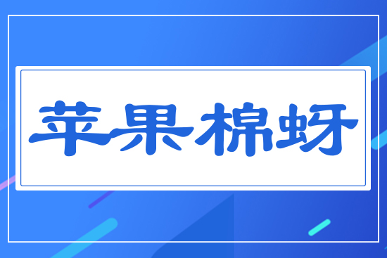 蘋(píng)果棉蚜
