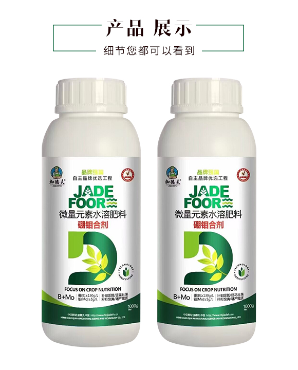 �ӱ���Ⱥ�r�I(y��)�Ƽ����޹�˾_04