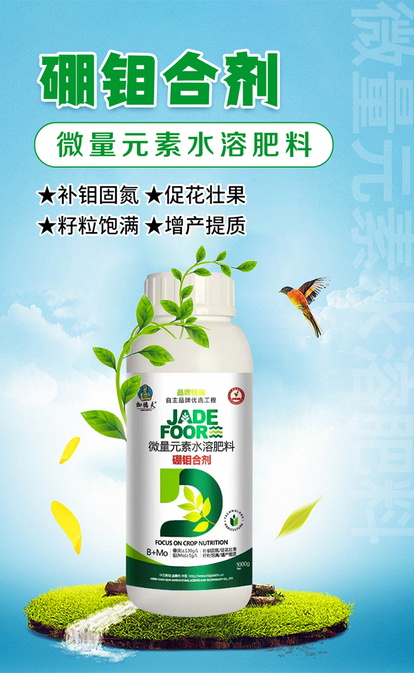 �ӱ���Ⱥ�r�I(y��)�Ƽ����޹�˾_01