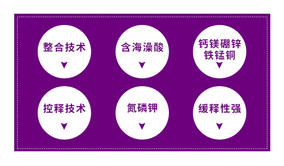 �ӱ���Ⱥ�r(n��ng)�I(y��)�Ƽ����޹�˾2_02