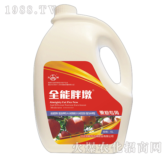 ȫ���ֶ�-���䌣��-���