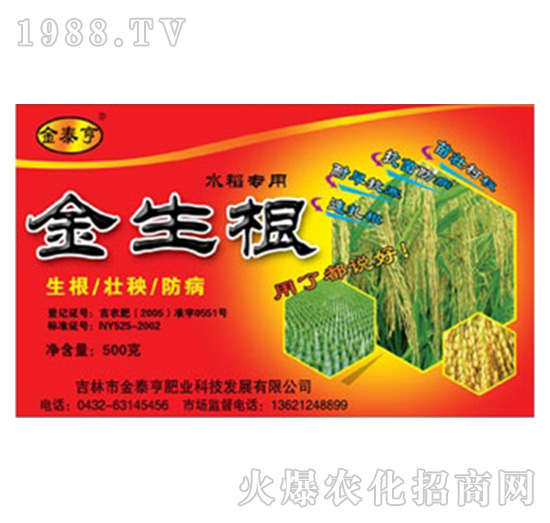 ��̩��-������