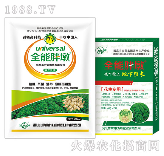 ������(zhu��n)��-ȫ���ֶ�-���