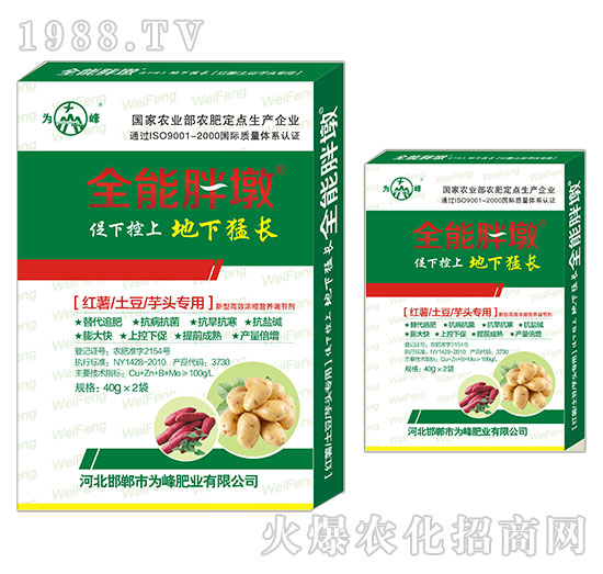 �t�������������^����-ȫ���ֶ�-���